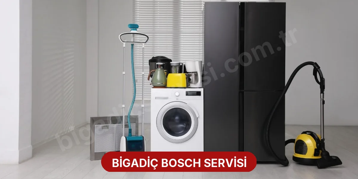 Bigadiç Bosch Servisi