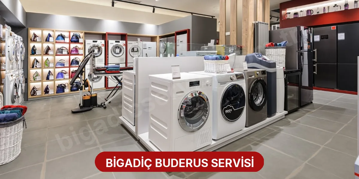 Bigadiç Buderus Servisi