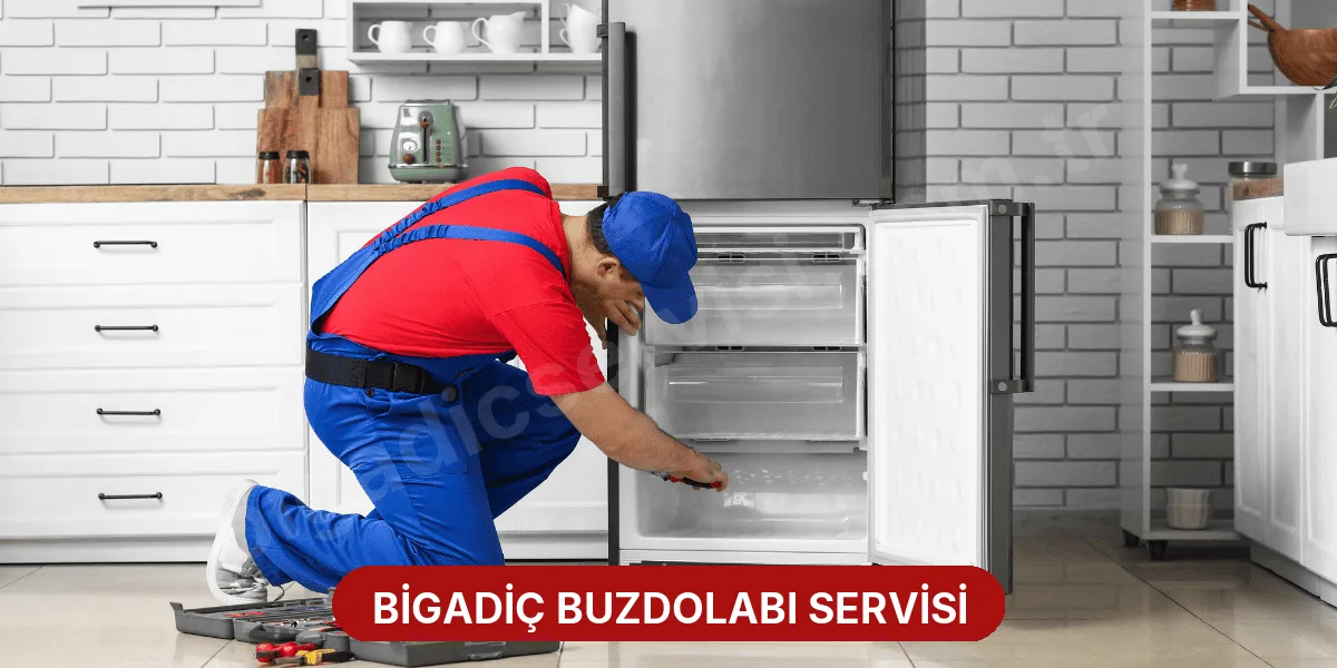 Bigadiç Buzdolabı Servisi