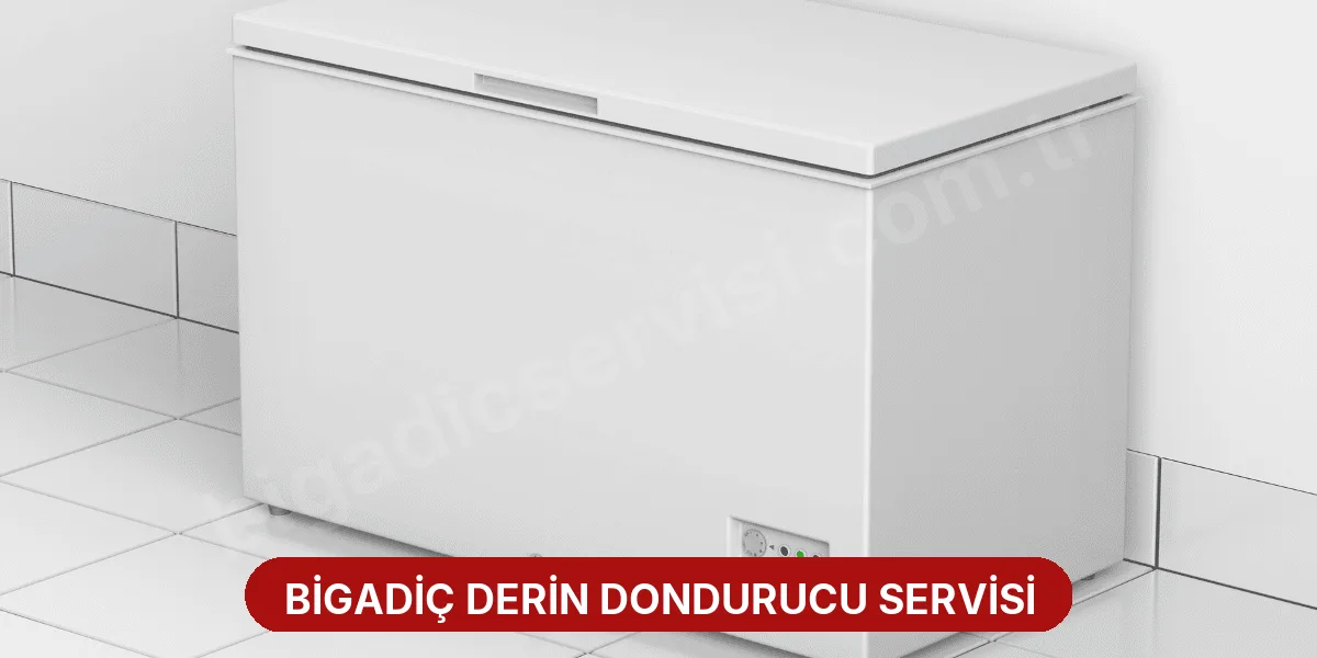 Bigadiç Derin Dondurucu Servisi