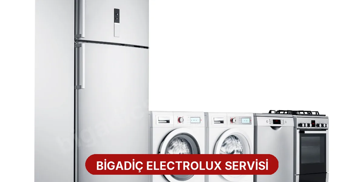 Bigadiç Electrolux Servisi