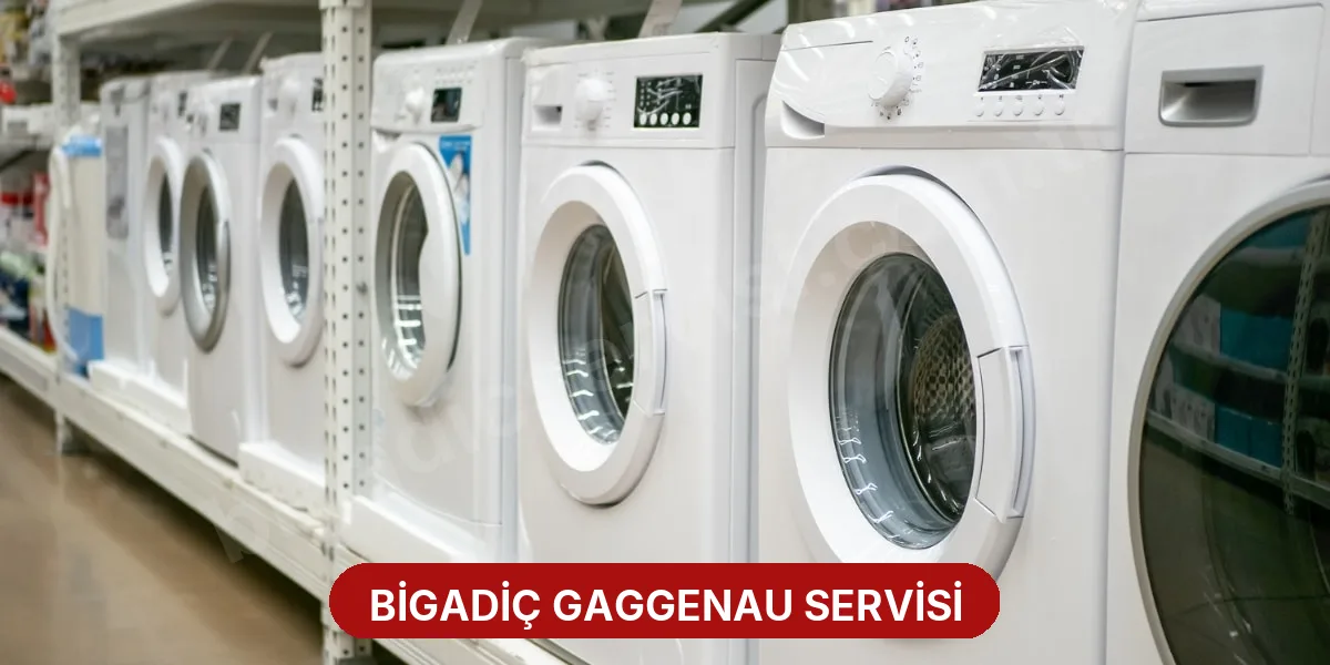 Bigadiç Gaggenau Servisi