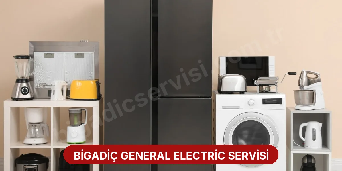 Bigadiç General Electric Servisi
