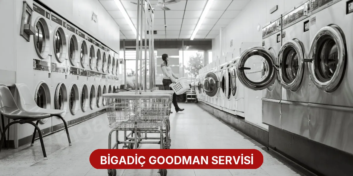 Bigadiç Goodman Servisi