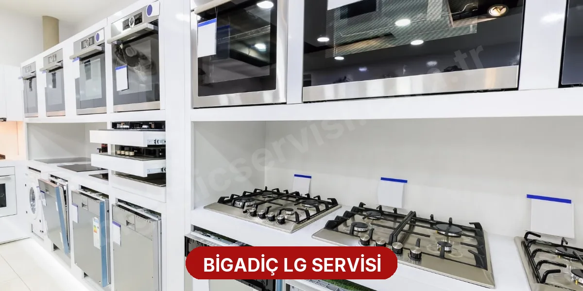 Bigadiç LG Servisi
