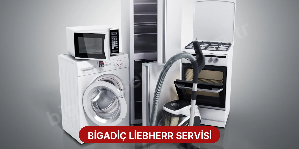Bigadiç Liebherr Servisi