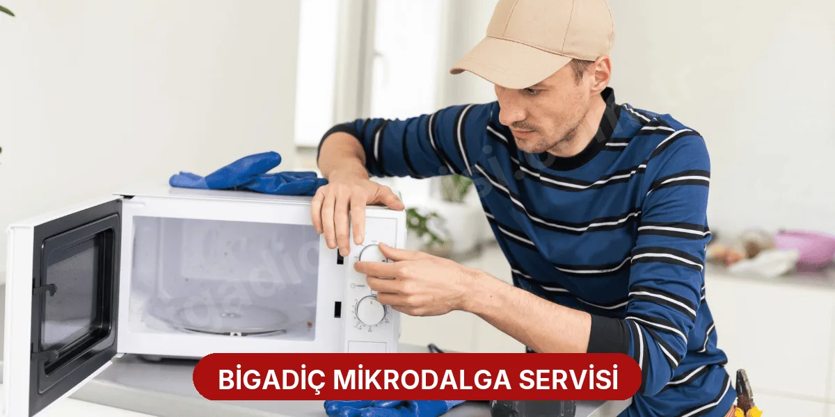 Bigadiç Mikrodalga Servisi
