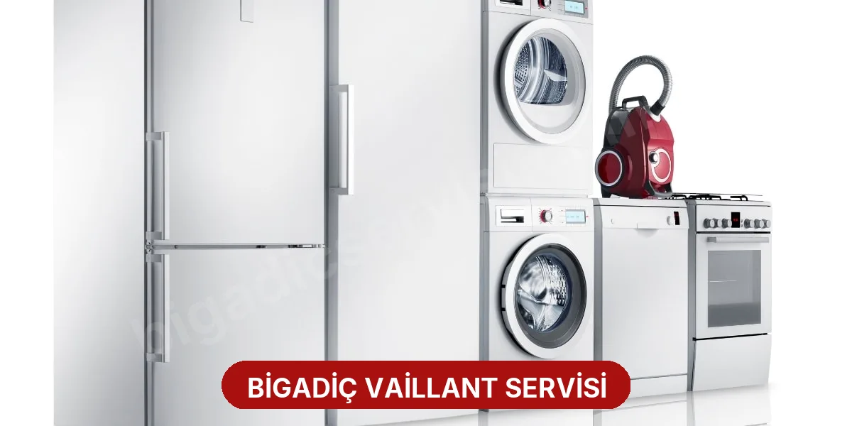 Bigadiç Vaillant Servisi