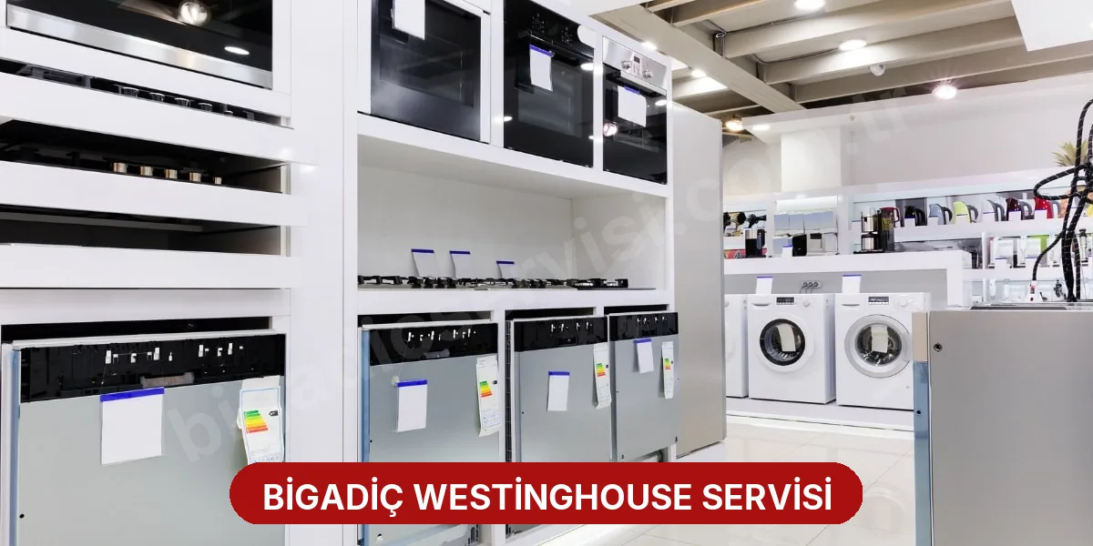 Bigadiç Westinghouse Servisi