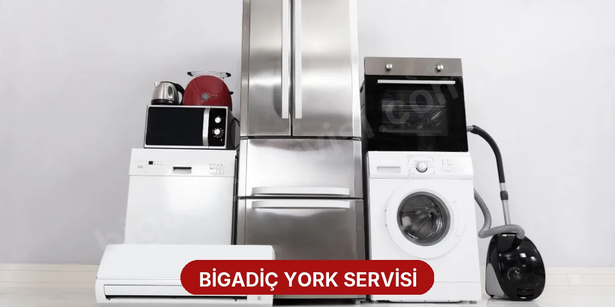 Bigadiç York Servisi